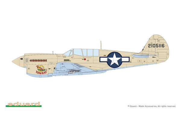 Curtiss P-40N Warhawk
