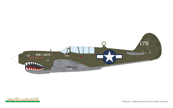 Curtiss P-40N Warhawk