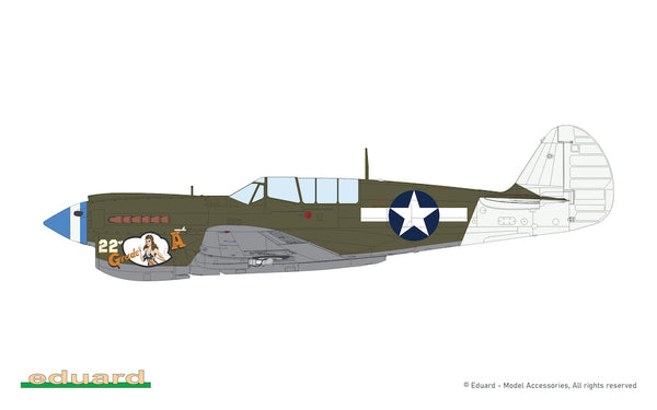 Curtiss P-40N Warhawk