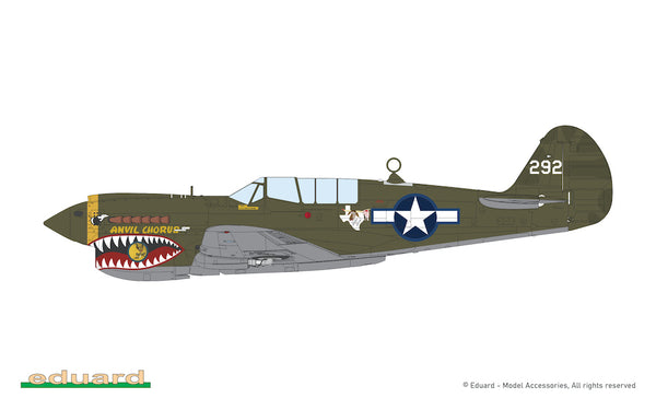 Curtiss P-40N Warhawk