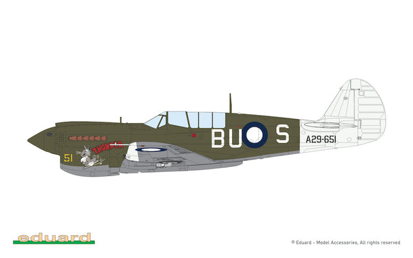 Curtiss P-40N Warhawk