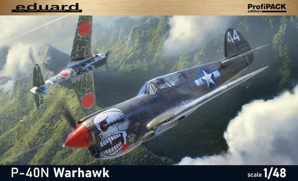 Curtiss P-40N Warhawk