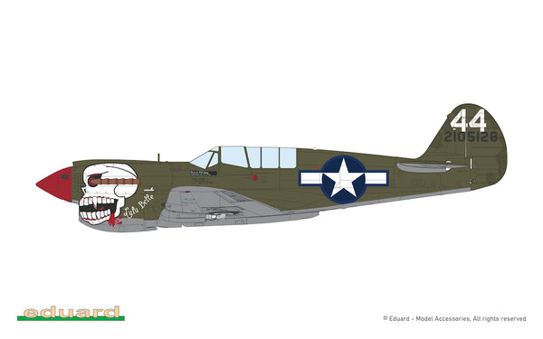 Curtiss P-40N Warhawk